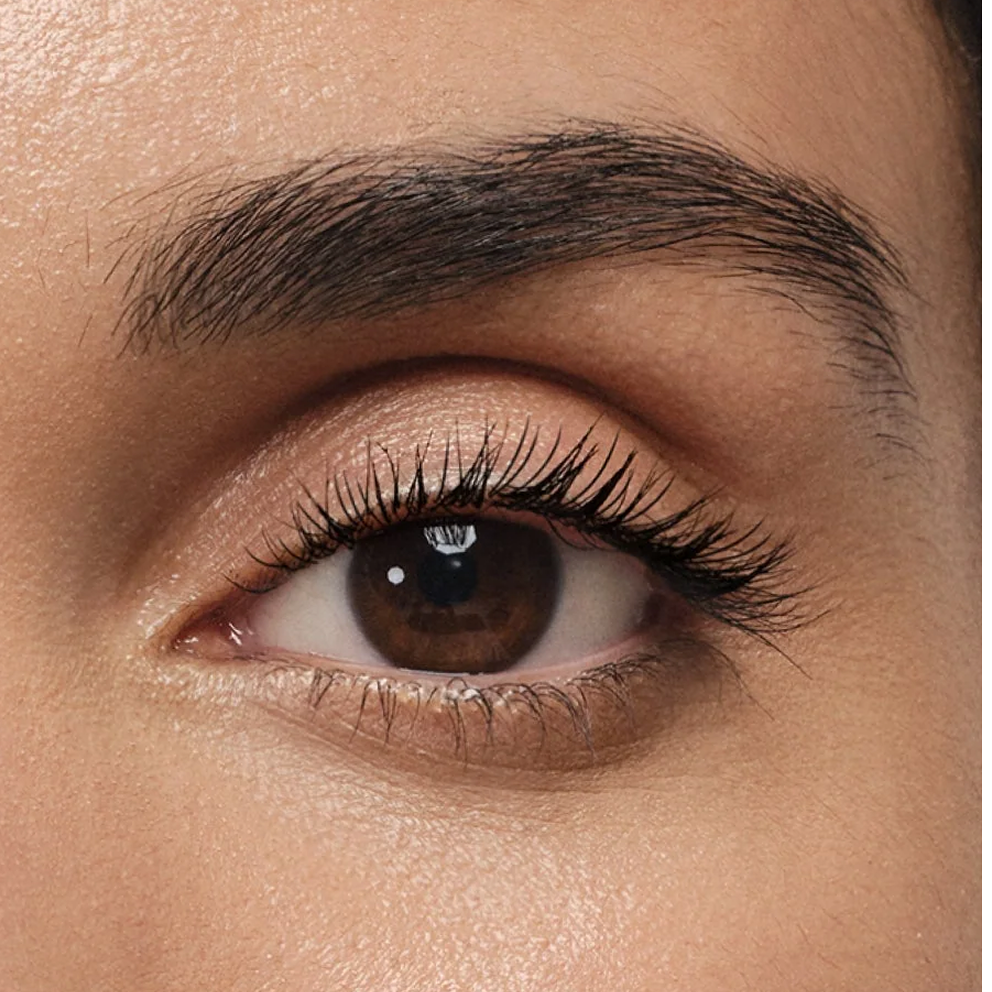 Tinted Brow Gel